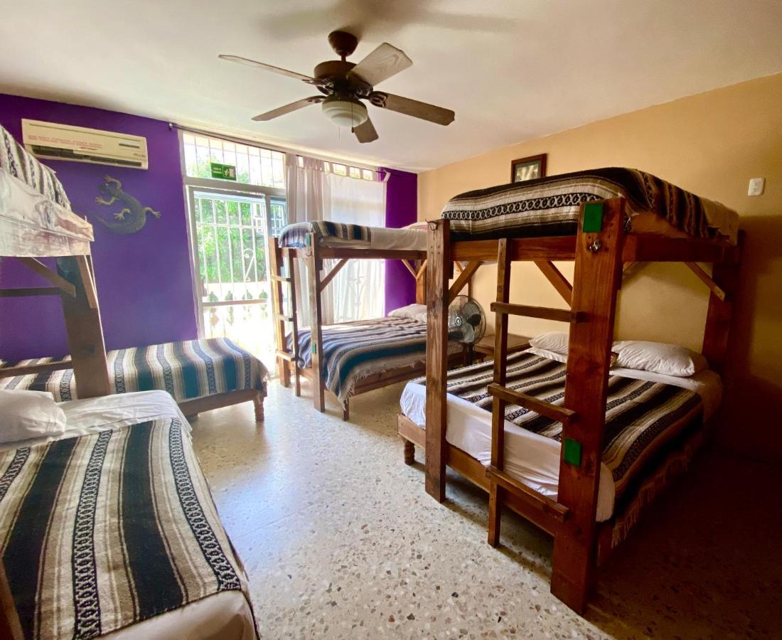 Wandering Monkey Guesthouse Масатлан Екстериор снимка