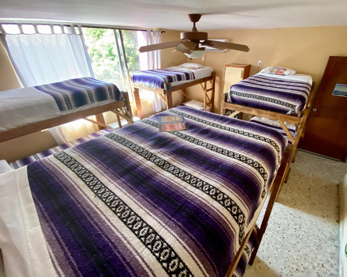Wandering Monkey Guesthouse Масатлан Екстериор снимка