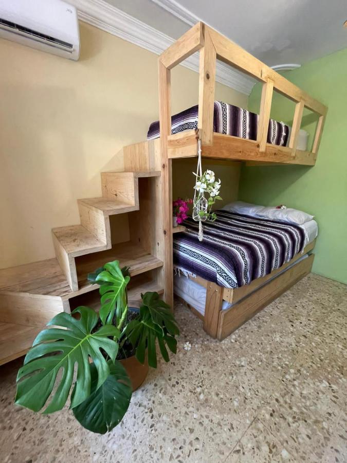 Wandering Monkey Guesthouse Масатлан Екстериор снимка