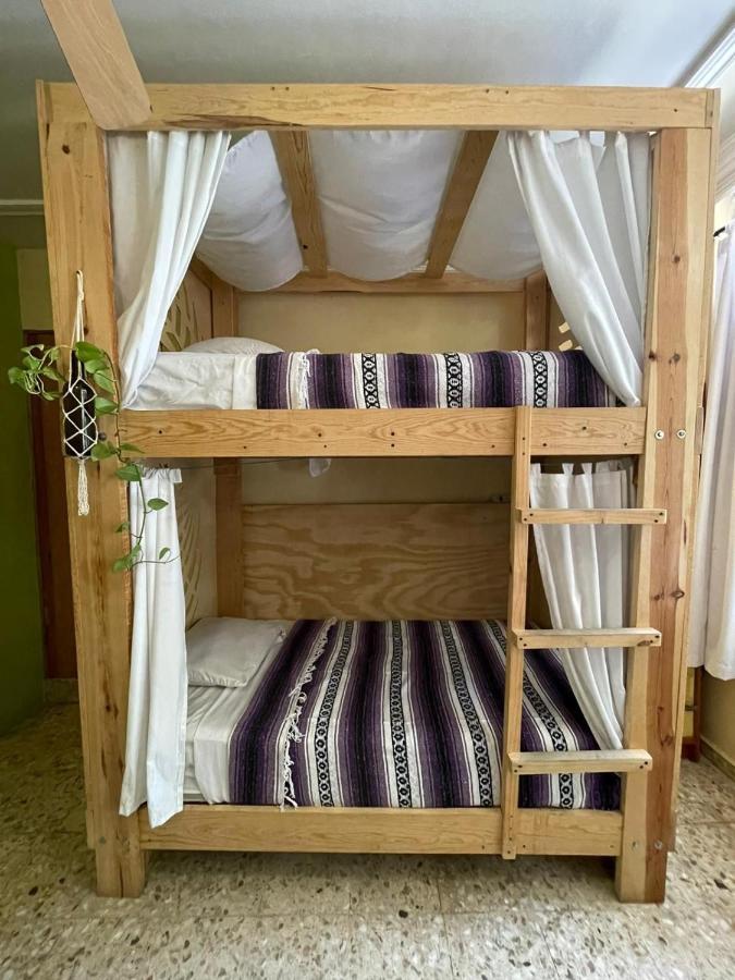 Wandering Monkey Guesthouse Масатлан Екстериор снимка